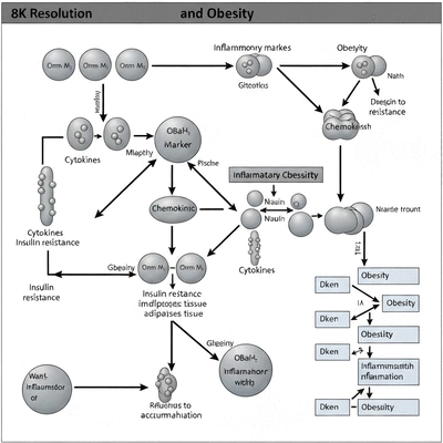 Scientific diagram illustrating the connection between inflammation and obesity