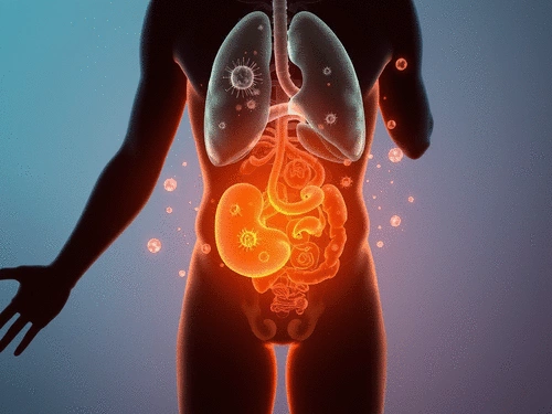 Role of Inflammation and Immune System in the Development of Obesity